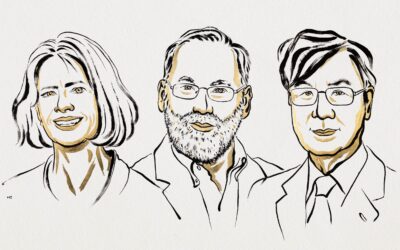 Le cellule T regolatorie e la rivoluzione immunologica