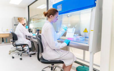 Quando il sistema immunitario impara a riconoscere il cancro