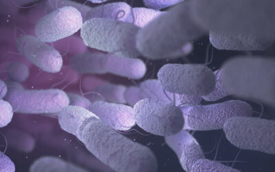 Microbioma intestinale: equilibrio, prevenzione e risposta al cancro