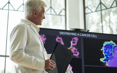 Quando il sistema smette di correggere