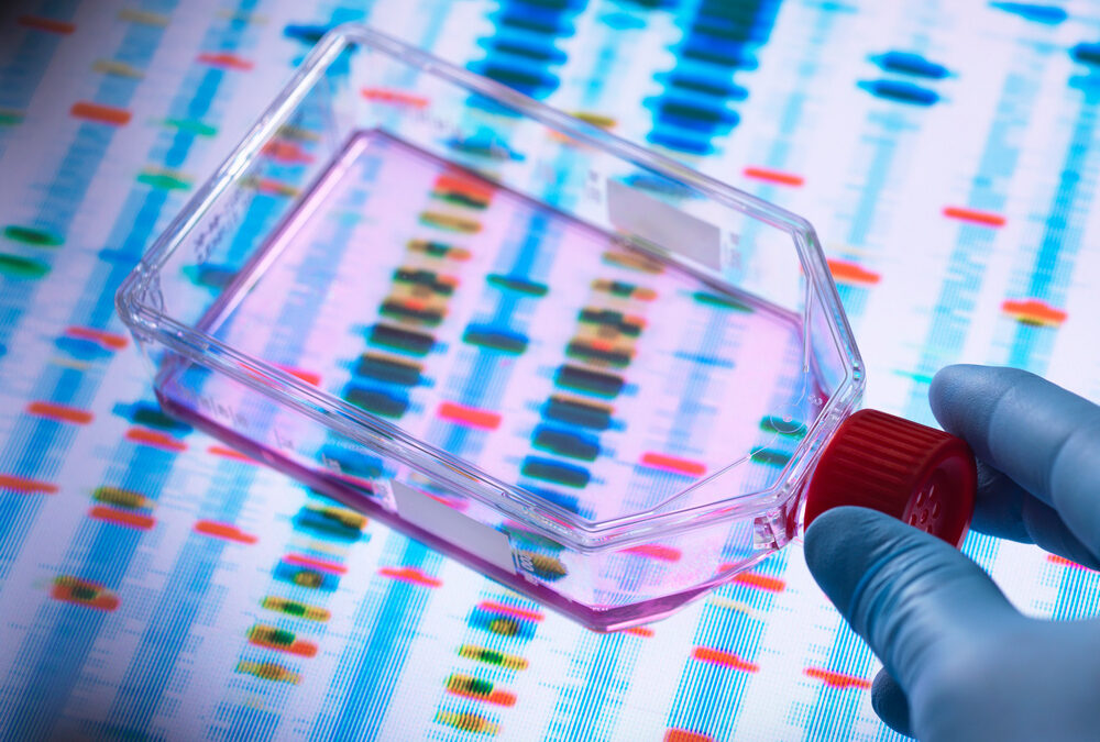 Il ruolo del caso: quando le mutazioni nascono spontaneamente