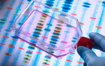 Il ruolo del caso: quando le mutazioni nascono spontaneamente