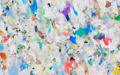 Microplastiche in cucina: cosa sappiamo davvero sul rischio oncologico