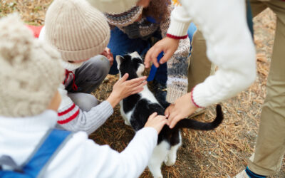 Prevenire il cancro nei nostri animali: cosa possiamo fare ogni giorno